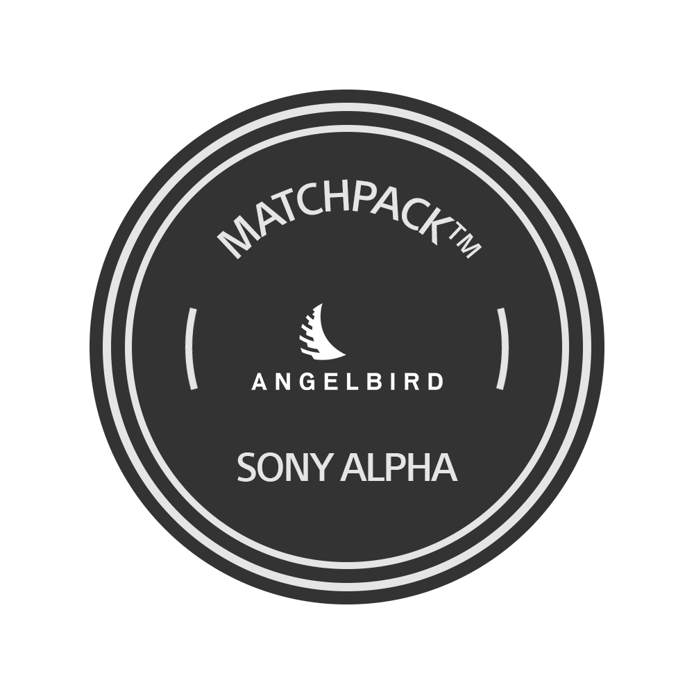 Angelbird Sony Alpha 7 | Alpha 9 | 128GB V90 | 2 stk